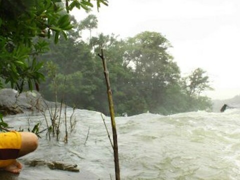 Thank the women farmers