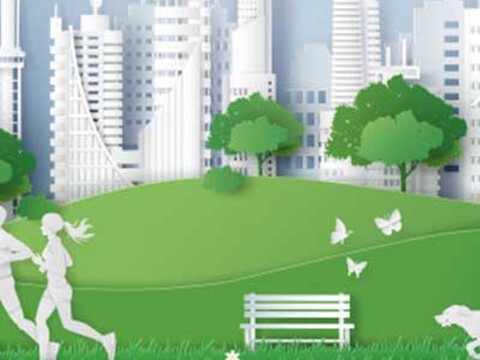 How Can Your City Become More Eco-friendly?