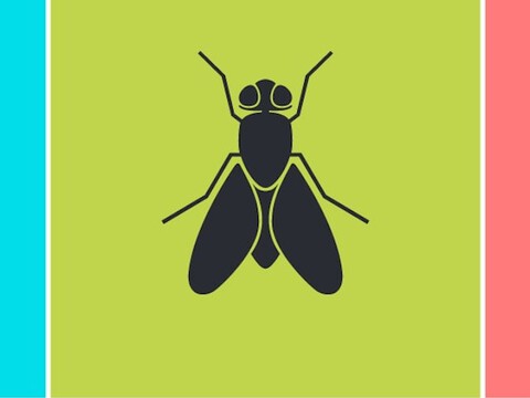 Natural Pest Control in Organic Farm Systems