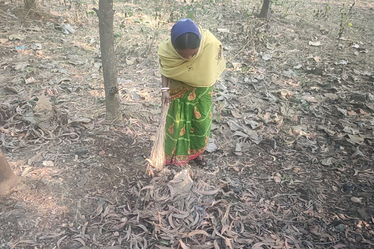 purulia1_Women-collect-dry-leaves-as-fuel